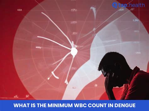 what is the minimum wbc count in dengue