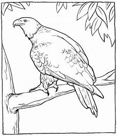 ausmalbilder zum ausdrucken adler adler ausmalbilder ausdrucken malvor ausmalbilder zum ausdrucken adler adler ausmalbilder ausdrucken malvor