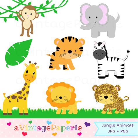 8+ Safari Clip Art - Preview : Jungle Animal Cli | HDClipartAll