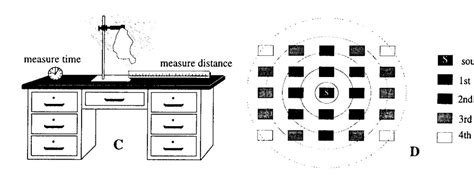 Image result for Diffusion Project Fun Activity