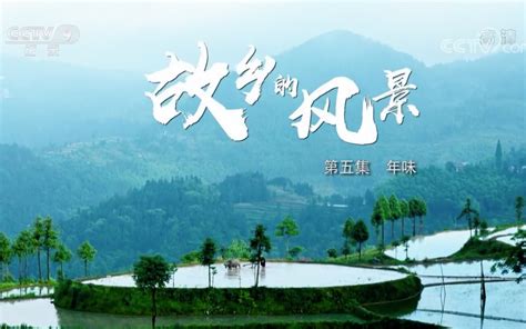CCTV9 纪录片《高考少年》全1集 1080P超清_哔哩哔哩_bilibili