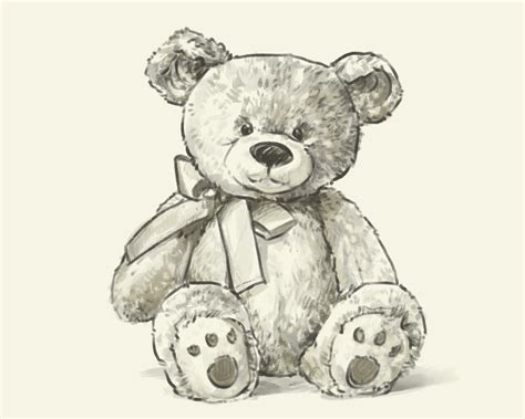 Realistic Teddy Bear Drawing