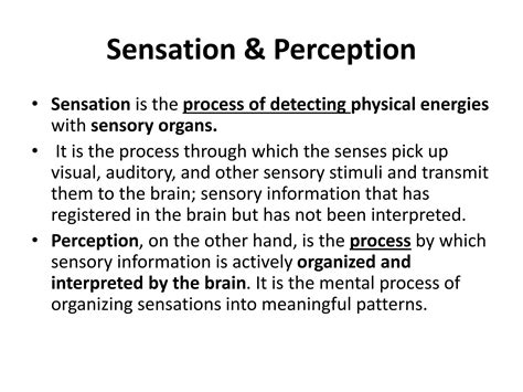 Image result for Sensation and Perception Examples