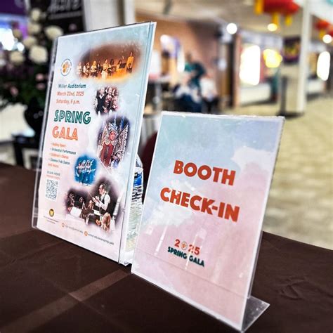 The Kalamazoo Cat Café offers more than just cats for college students ...