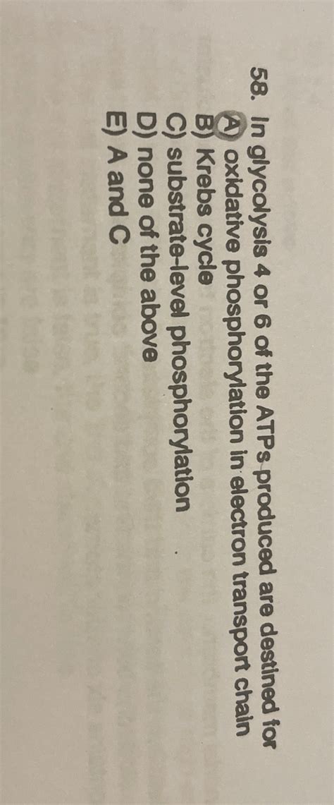 Solved In glycolysis 4 ﻿or 6 ﻿of the ATPs produced are | Chegg.com
