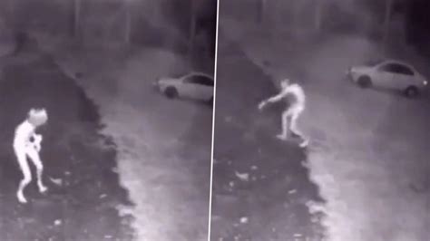 Alien On Video 的图像结果