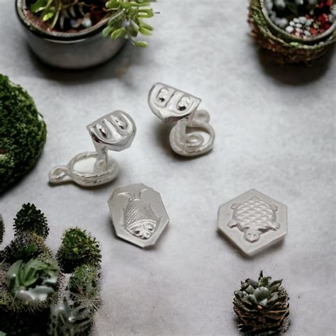 Buy Dharmsaar Naag Nagin Ka Joda Silver with Turtle & Fish, Chandi Ke ...