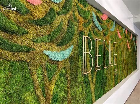 Gallery - Belle on Bev — Planted Design