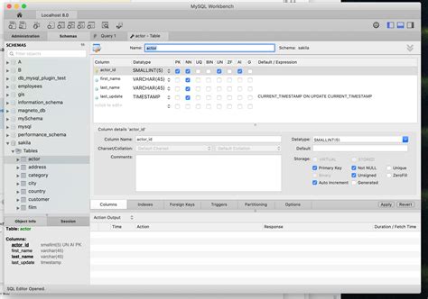 Image result for MySQL Workbench Table Not Edit