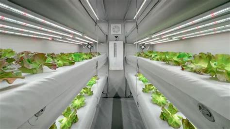 Checkout most exciting food tech innovations at CES 2025, The future of ...