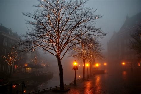 https://rare-gallery.com/thumbnail/454894-christmas-lights-wet-mist-water-trees-building.jpg