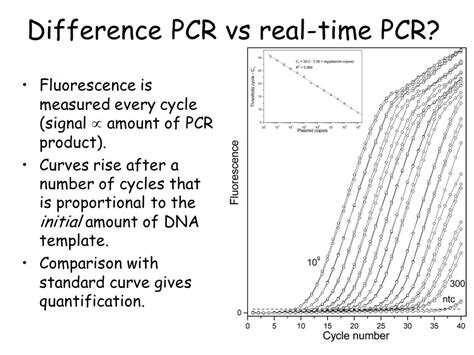 Image result for PCR Introduction