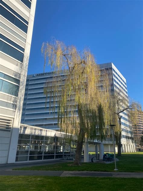 AssetMark Office Photos