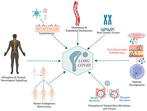SARS-CoV-2 Reinfections and Long COVID in the Post-Omicron Phase of the Pandemic