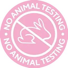 The Ayurveda Experience