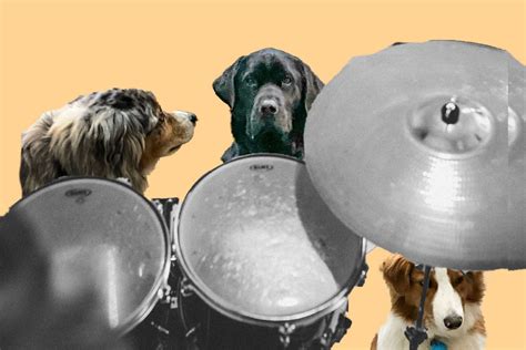 Hal Blaine – ubiquitous drummer of The Wrecking Crew — born Feb. 5 ...