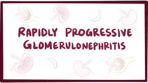 Rapidly progressive glomerulonephritis: Video, Causes, & Meaning | Osmosis