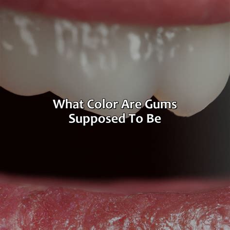 What Color Contrasts With Purple - colorscombo.com