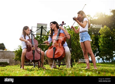 Image result for Classical String Instruments