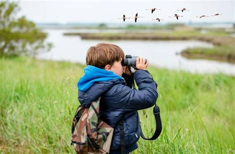 Seaside Birding Club at Walsingham Park, 18328 Gulf Blvd,Indian Shores ...