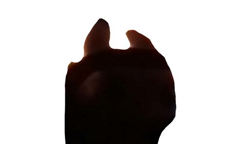 Image result for Toothless Pfpp