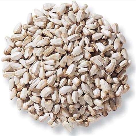 Buy MITU Premium Safflower Seeds 500 Gm Kusum Beej/Kardi Seed for Birds ...