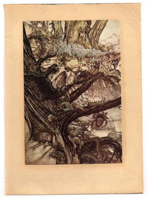 Buy Original 1908 Arthur Rackham Art Nouveau Fairy Book Plate Print ...