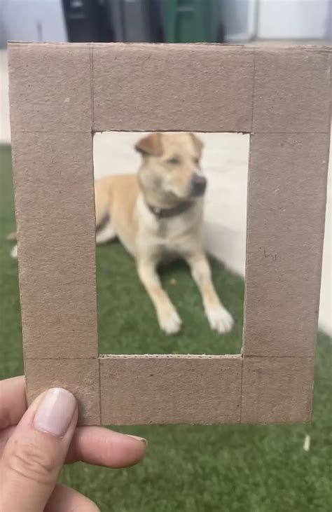 Image result for Viewfinder Tutorial