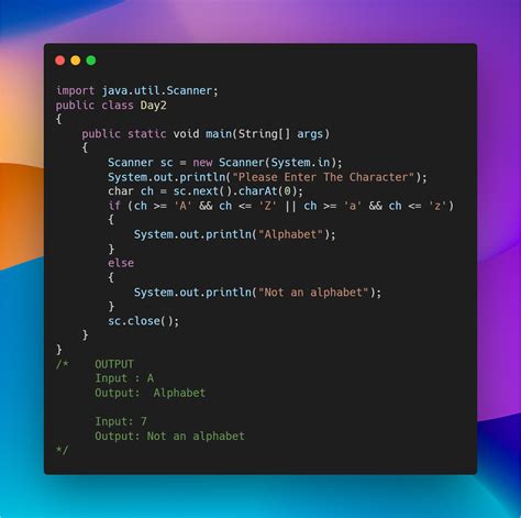 100 Days Coding Challenge Java 的图像结果