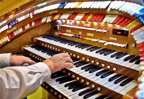 Image result for Types of Organs Instrument