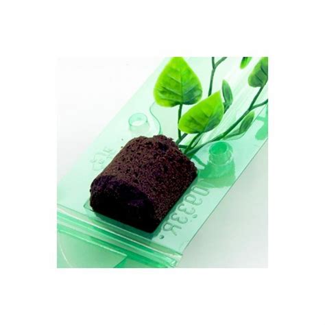 Buy Clone Shipper - Multiple Sizes - Ship Plant Cuttings - 100Hr LEDs ...