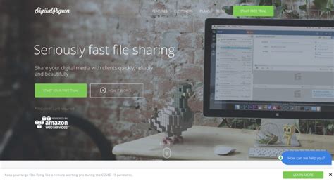 Image result for File Sharing and Collaboration Software