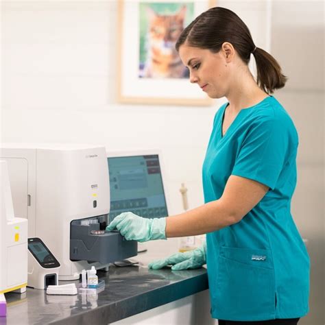 The Blood Chemistry Panels for Dogs and Cats-An Art and a Science