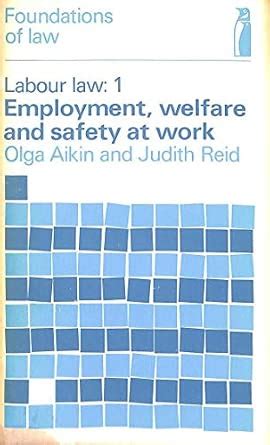 Labour Law: Employment, Welfare State and Safety at Work : Aikin, Olga ...