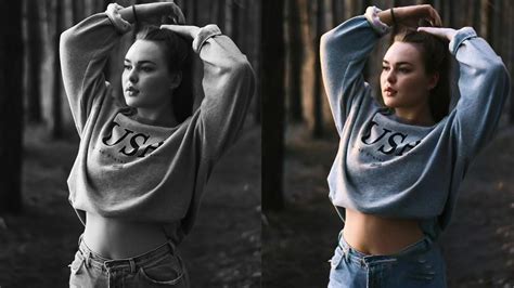 Image result for Colorisation