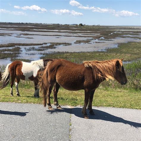 ASSATEAGUE STATE PARK (2025) All You Need to Know BEFORE You Go (with ...