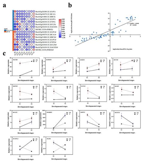 Transcriptome Analysis of Intermittent Light Induced Early Bolting in ...