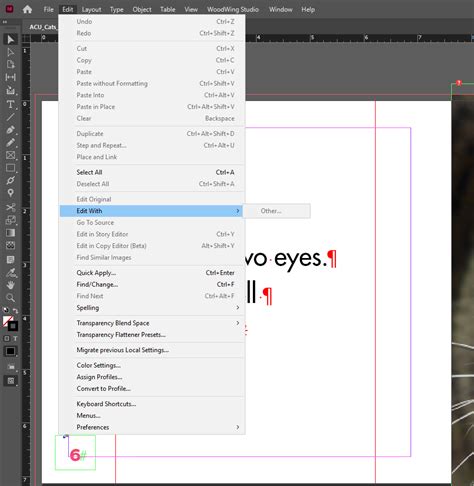 Image result for InDesign Assignment