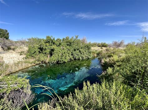 Discover: Ash Meadows National Wildlife Refuge - Amargosa Conservancy