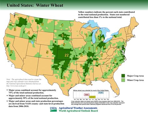 When To Plant Winter Wheat In Pa at Carolyn Bey blog