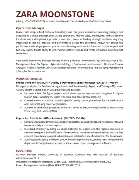 Professional Resume Examples 的图像结果