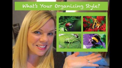 Organization Style 的图像结果