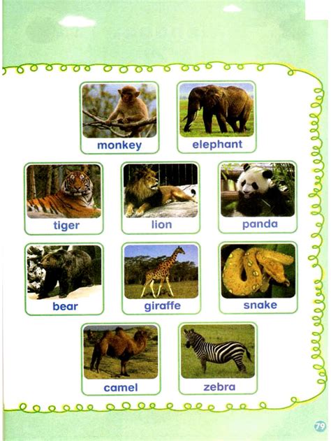四个动物图片免费下载_四个动物素材_四个动物模板-新图网
