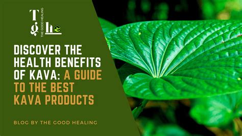 Discover the Health Benefits of Kava: A Guide to the Best Kava Product – The Good Healing