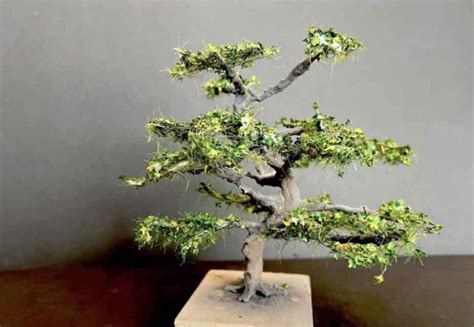 Tutorial On Making Fake Trees for Train 的图像结果