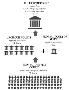 Federal Court System Structure Chart 的图像结果
