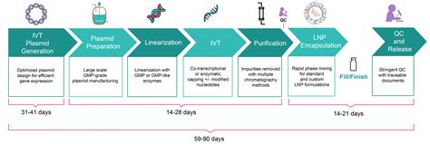 IVT RNA and LNP Manufacturing | VectorBuilder