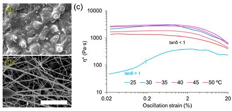 Amphipathic Substrates Based on Crosslinker-Free Poly(ε-Caprolactone ...