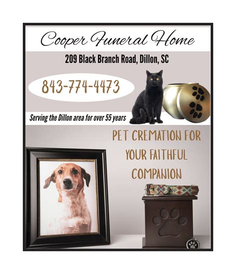 Dillon District Four School Board - The Dillon County News, LLC