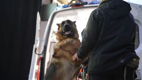 'Endangered Parrots of the World on Stamps, Coins and Banknotes': A ...